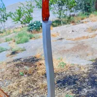 شمشیر elven ring|کلکسیون اشیاء عتیقه|تهران, پاسداران|دیوار