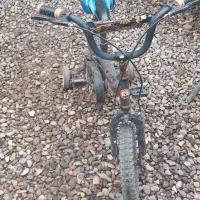 دوچرخه ۱۶|دوچرخه، اسکیت، اسکوتر|گنبد کاووس, |دیوار