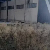 کارخانه کامل واقع در جاده بوئین زهرا|اجارهٔ دفتر صنعتی، کشاورزی، تجاری|بوئین زهرا, |دیوار