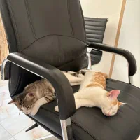 لطفاً ما را از هم جدا نکنید