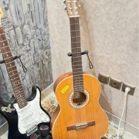 گیتار پارسی M5