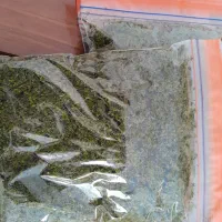 قرمه سبزی|خوردنی و آشامیدنی|تهران, مرزداران|دیوار