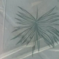 ایفون 16پرو مکس