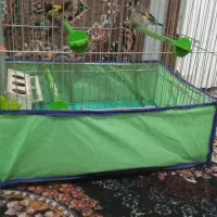 ۲عدد سهره کرمانی