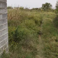 فروش زمین در جاده گهرباران ساری|فروش زمین و ملک کلنگی|طبقده, |دیوار