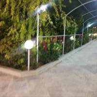 همکف-حیاط-جنوبی