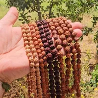 انواع رودراکشا تسبیح گردنبند