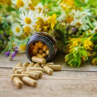 محصولات تاخیری