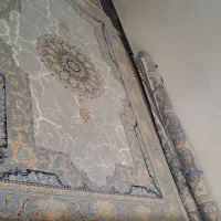 گشتم نبود نگرد نیست فقط با ماهی ۸ ملیون فرش بخرید|فرش|شاهین‌شهر, دکتر حسابی|دیوار