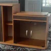 زیر تلوزیونی