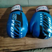 دستکش بوکس توئینز|تجهیزات ورزشی|شبستر, |دیوار