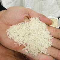 برنج فجر سوزنی سورت شده|خوردنی و آشامیدنی|گرگان, |دیوار