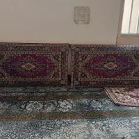 پشتی سالم و زخیم