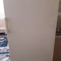 یخچال بوژان،خانگی