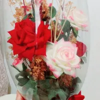 گل مخملی نوتعویض هم میکنم