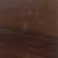 مدارک گمشده