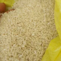 برنج عنبر بو درجه یک لیزری|خوردنی و آشامیدنی|شوشتر, |دیوار