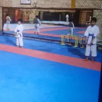 جام آینه مناسب باشگاه