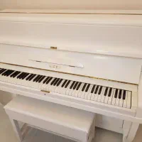 فروش پیانو آکوستیک سفید|پیانو، کیبورد، آکاردئون|شیراز, معالیآباد|دیوار