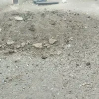 کود گوسفندی