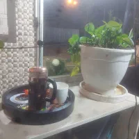نیرو جهت کافه رستوران