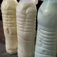 دوغ تازه بدون هیچ موادافزودنی