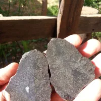 انواع سنگ شجرمشکی خراسان|کلکسیون اشیاء عتیقه|شهرکرد, |دیوار