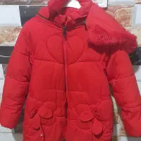 کت زیبا وتمیز