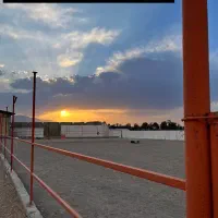 پانیسون اسب و اجاره باکس