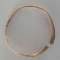 2 عدد النگو سرمایه‌ گذاری