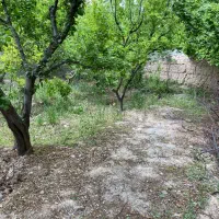 ۳۵۰ متر باغچه سنددار آب برق گاز وصل کاسبی|فروش زمین و ملک کلنگی|شهریار, شهرک شاهد|دیوار