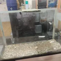 آکواریوم ماهی  یک در ۶۰سانت