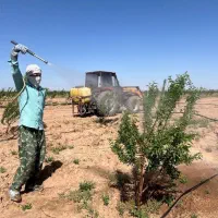 باغ بادام با درختان ۳ ساله جنب کافه و باشگاه اسب|فروش زمین و ملک کلنگی|شهریار, شهریار|دیوار