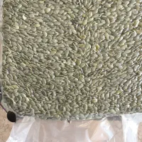 مغز تخمه کدو وکیوم کیسه 10کیلویی