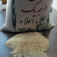 طارم هاشمی خالص درجه یک معطر به شرط پخت و مرجوعی