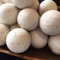 جهت خرید و فروش سنگ اقدام کنید