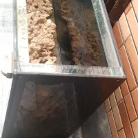 آکواریوم ۳۳۶لیتر|ماهی|پردیس, فاز ۸|دیوار