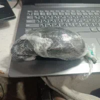 کیبورد وموس دست دوم با قیمت مناسب|قطعات و لوازم جانبی رایانه|یاسوج, |دیوار