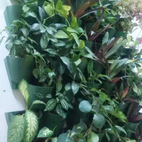 اجاره انباربلوارمیرزای شیرازی