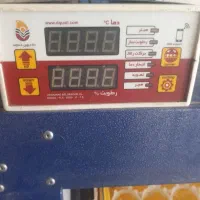 دستگاه جوجه کشی بلدرچین دماوند 588 تایی اوتومات