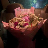 گل تازه ونو