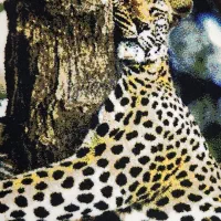 دوعدد تابلو فرش|تابلو فرش|قم, انصار‌الحسین|دیوار