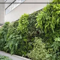 واردات و فروش تک و عمده انواع درختچه مصنوعی لوکس