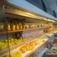 یخچال پرده هوا ۴ متری|فروشگاه و مغازه|شیراز, سینما سعدی|دیوار
