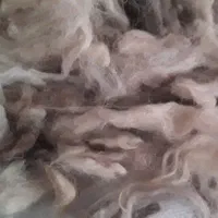 پشم گوسفندی