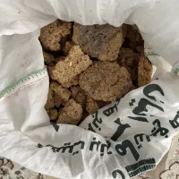 ترخینه