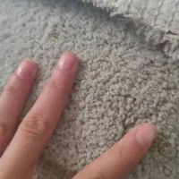 فرش تدی 16متری|فرش|بابلسر, |دیوار