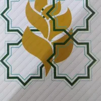 معلم خصوصی ابتدایی