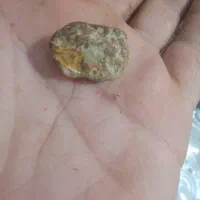 فروش عالی باتخفیف