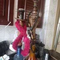 قلیان|کافیشاپ و رستوران|رابر, |دیوار